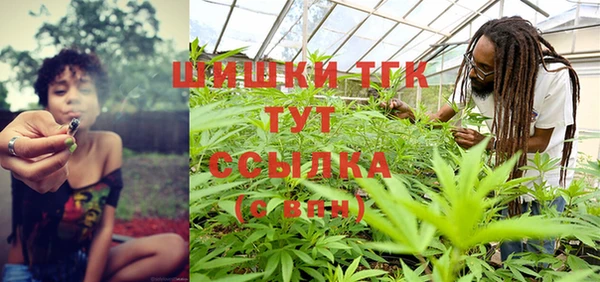гашик Медногорск