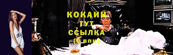 гашик Медногорск