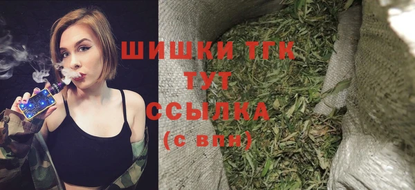 гашик Медногорск