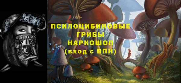 гашик Медногорск