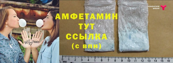 гашик Медногорск